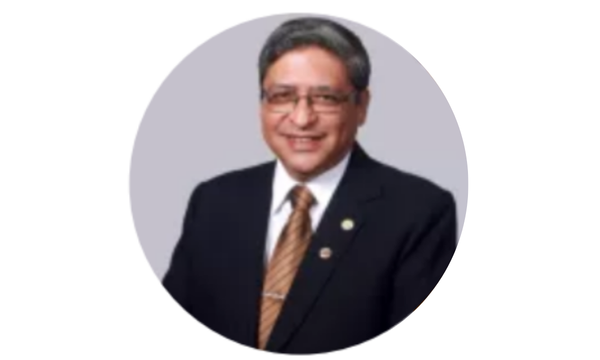 Logo Universidad Nacional San Luis Gonzaga